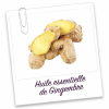 Huile Essentielle- Gingembre bio
