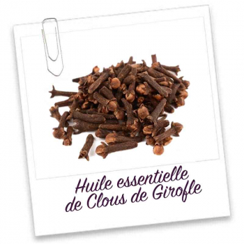 Huile Essentielle- Clous de Girofle