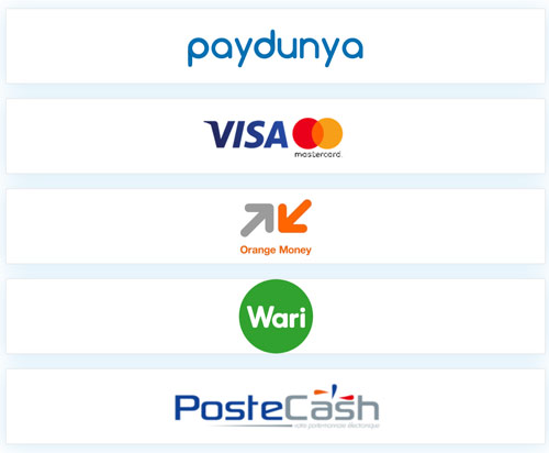 Paydunya propose le paiement par carte visa ou mastercard, par orange money, par wari, par postcash