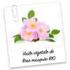 huile-rose-musquee