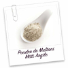 Les poudres indiennes: MULTANI MITTI Argile
