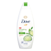 Dove-concombre