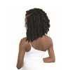 Nala-braids-janet
