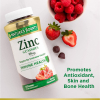 nture-bounty-zinc-gummies