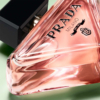 paradoxe-prada