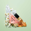 prada-prada