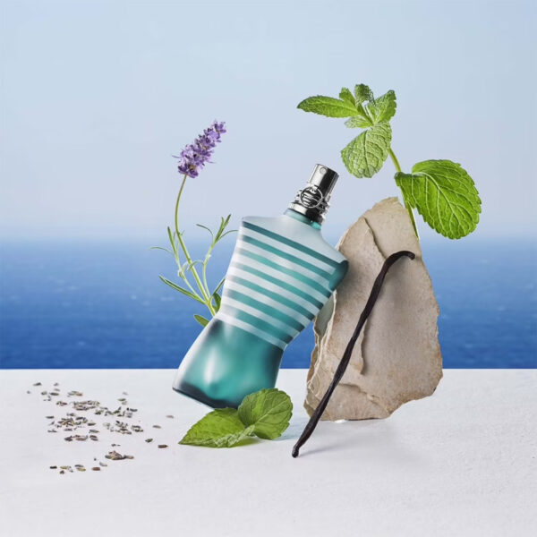 JEAN PAUL GAULTIER Le Male L'Eau de Toilette