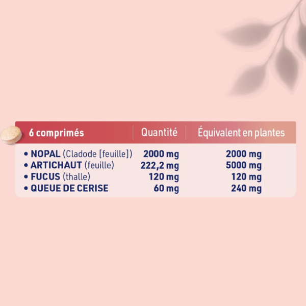 6-comprimés