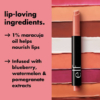 lip-loving-ingredients