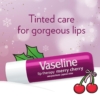 VASELINE Lip Therapy Stick Duo de Baume à Lèvres Teinté Merry Cherry