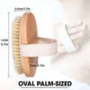 oval-pal-size