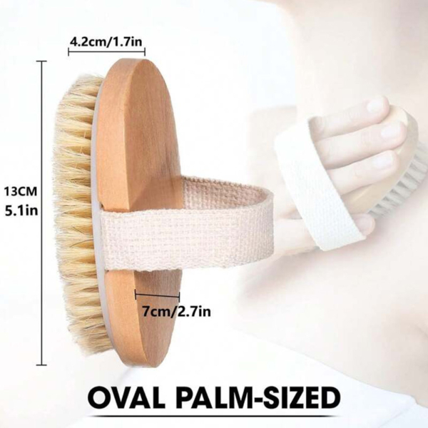 oval-pal-size