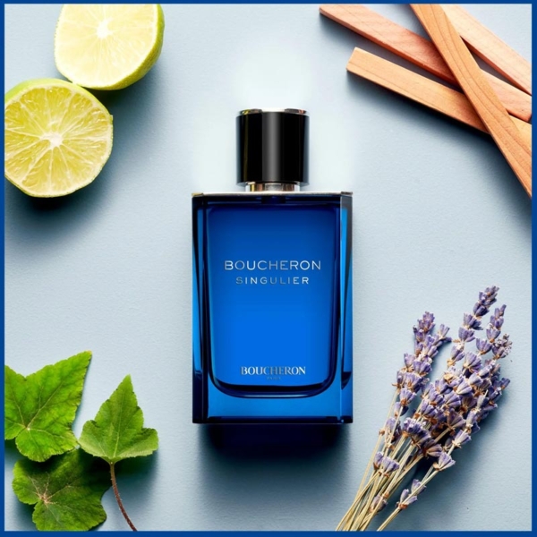singulier-edp-home