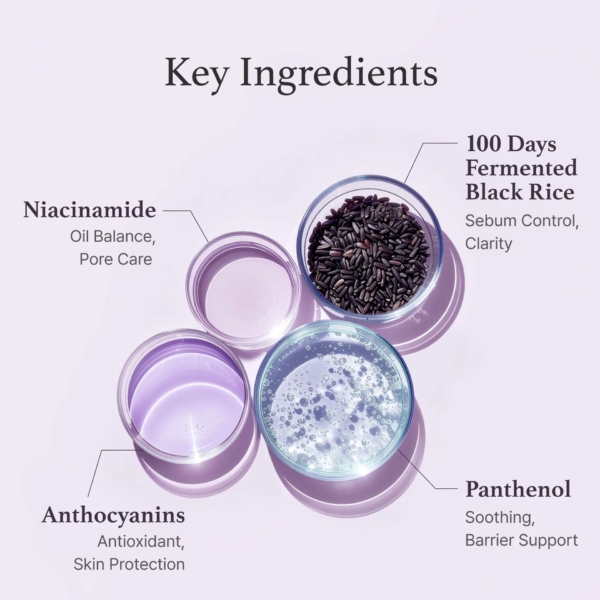 key-ingredients-toner-riz-noir