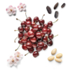 mauboussin-edp-star-cherie