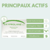 actifs-principaux