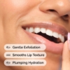 exfoliant-levres