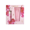 rose-de-vigne-coffret