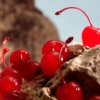 Q-le-parfum-