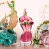 la-belle-rosea-JPG