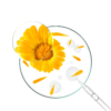 fleur-de-calendullatoilette