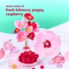 Hibiscus-rose-coffret