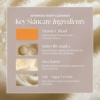 Saltair-gommage-ingredients