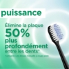 brosse-noire-puissante
