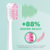 gum-senstive-Brosse