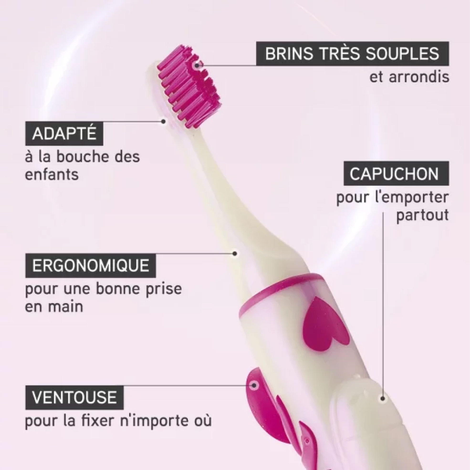 licorn-brosse